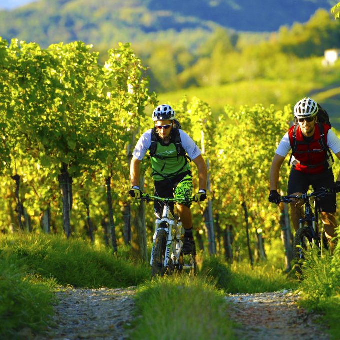 Tateam Benvenuti nell'avventura piu' bella della vostra vita MTB tours & noleggio