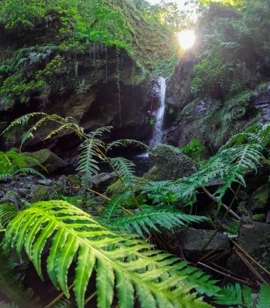 MADEIRA CANYONING TRIP