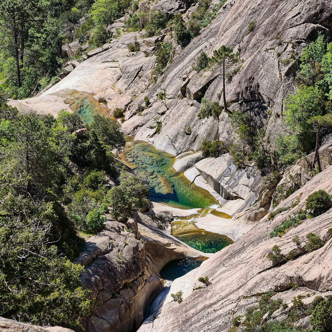 CORSICA Canyoning trip 2 CORSICA CANYONING